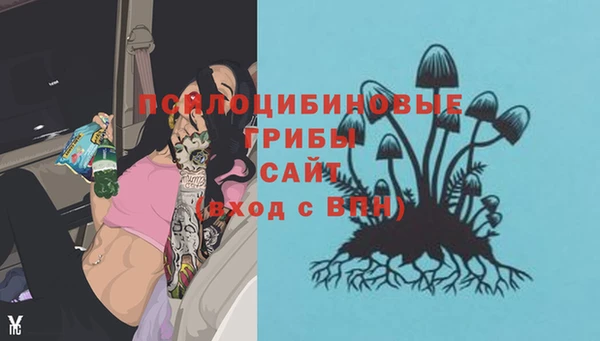 2c-b Алзамай
