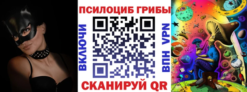 магазин продажи наркотиков  ОМГ ОМГ сайт  Псилоцибиновые грибы Cubensis  Красногорск 