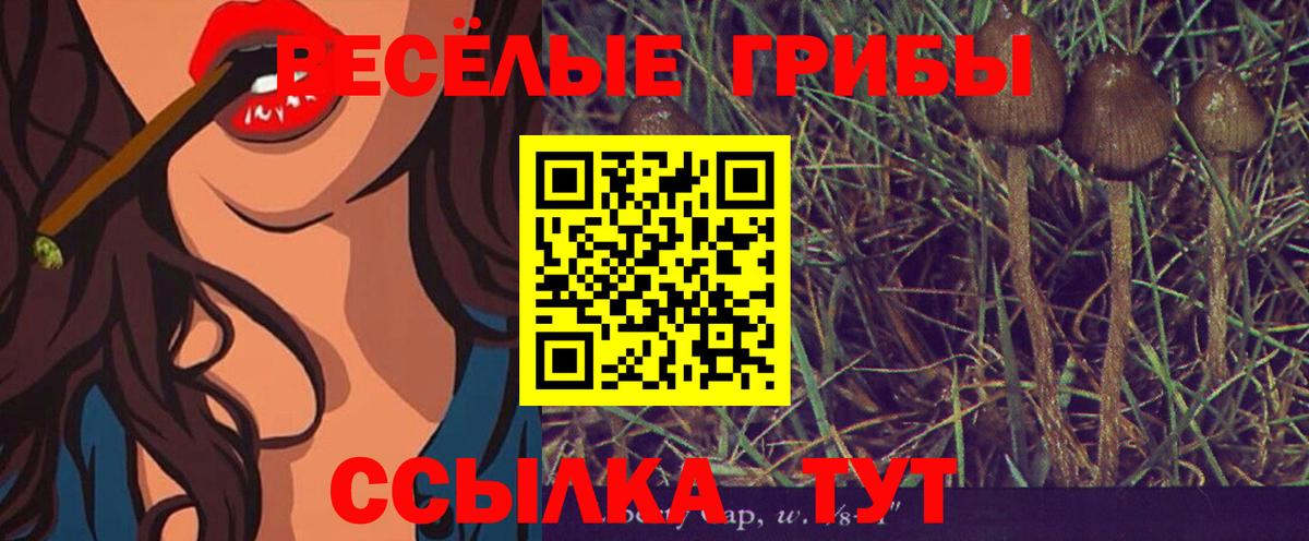 купить  цена  Псилоцибиновые грибы Psilocybine cubensis  Вход с VPN  Красногорск 