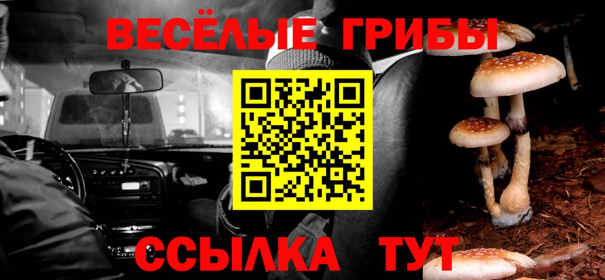 Псилоцибиновые грибы прущие грибы Красногорск